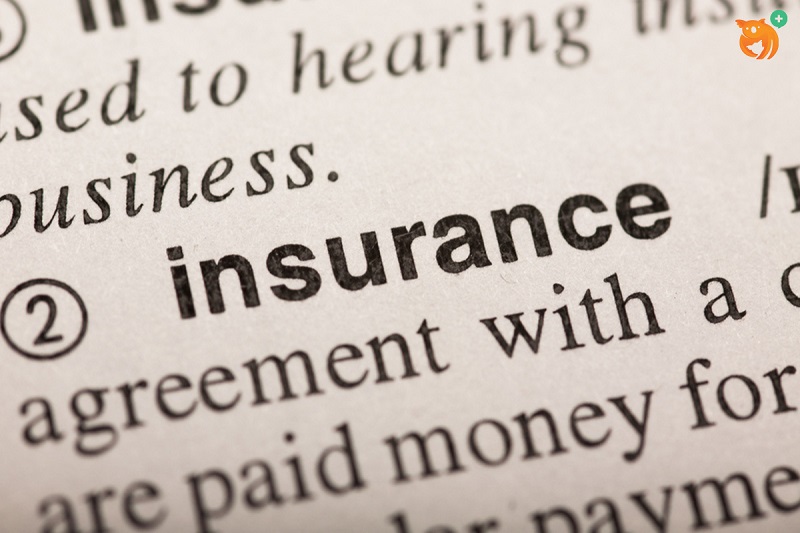 25 Istilah-istilah Asuransi Dasar, Agen Asuransi Wajib Tahu dan Memahaminya