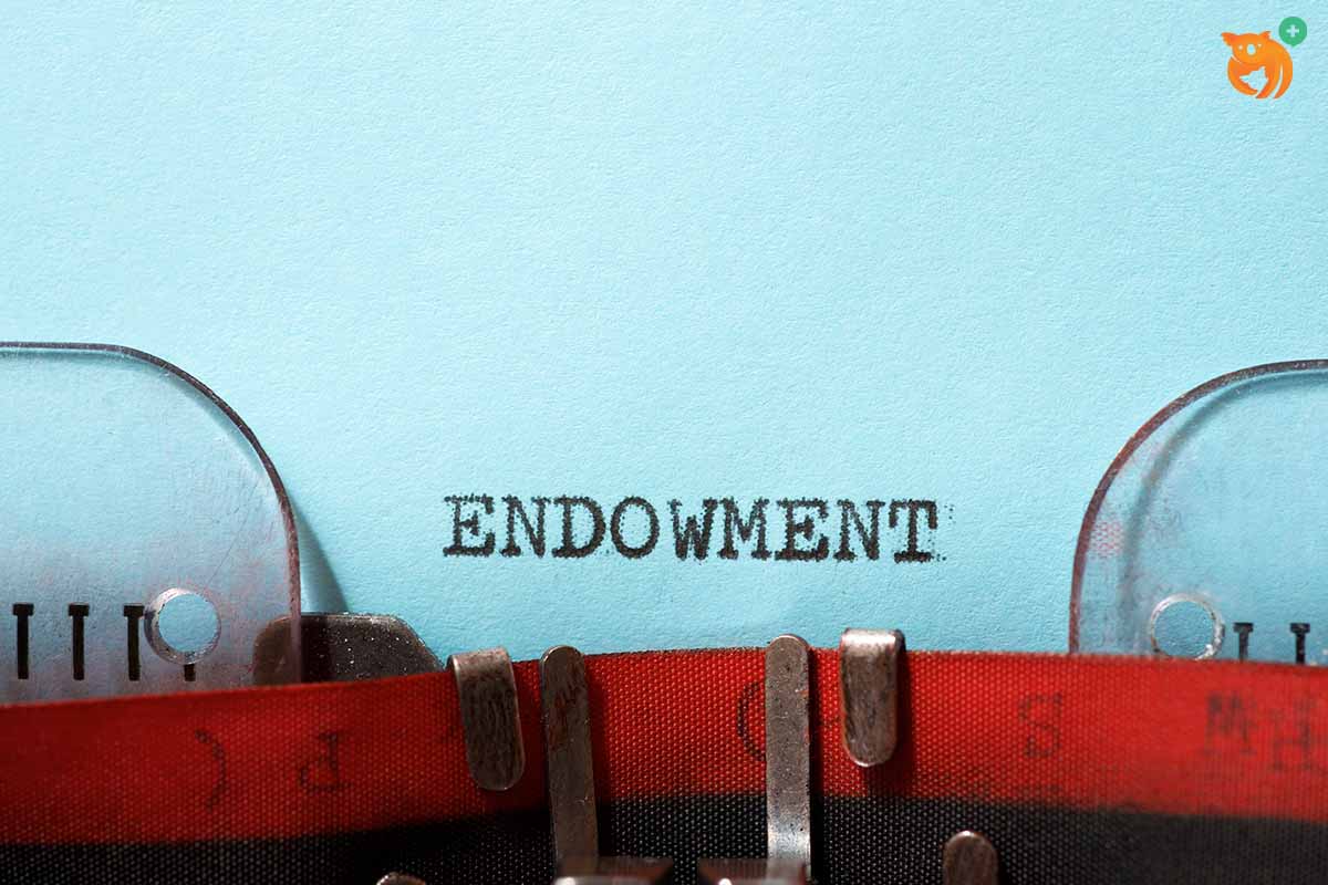Asuransi Endowment: Dapatkan Dua Manfaat Asuransi Sekaligus